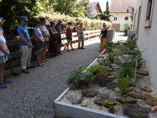Katja Sattler beim Halbschattenbeet. Foto: Peter Bircher