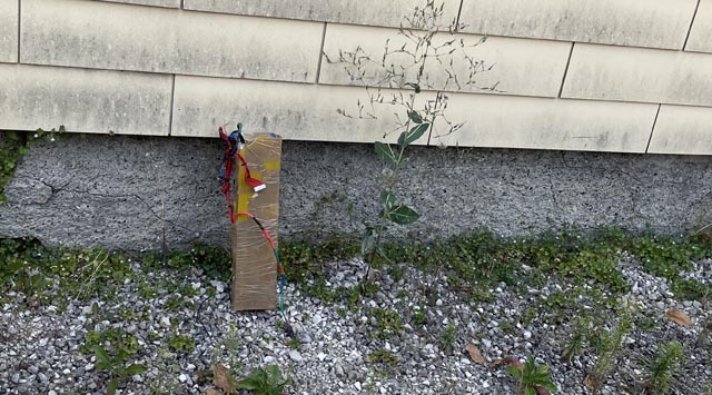 Das Akkupaket sah glücklicherweise gefährlicher aus, als es war. Foto: Kantonspolizei