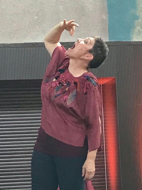 Beatrix Jocher-Studer trat als Gesandte der Stadtbibliothek Rheinfelden vor voll besetztem Saal auf. Foto: zVg