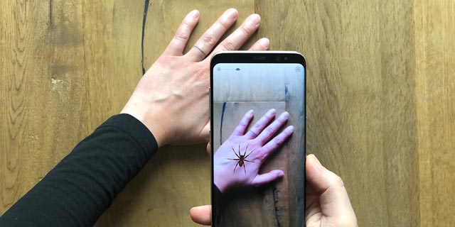 Mit der App Phobys können Menschen mit Spinnenphobie die Begegnung mit einer virtuellen Spinne trainieren. Foto: Universität Basel, MCN