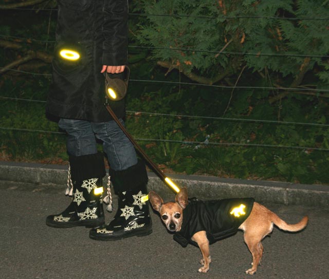 Reflektoren schaffen Sicherheit für Herrchen und Hund. Foto: zVg