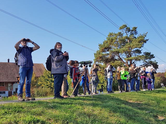 Exkusion an den Klingnauer Stausee. Foto: Benno Zimmermann, Präsident des Naturschutzvereins Wittnau