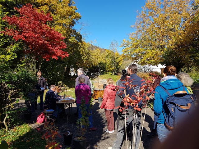 Mehr Interesse, als erwartet: Zahlreiche Wittnauer liessen es sich nicht nehmen, die die Pflanzenbörse zu besuchen. Foto: Benno Zimmermann