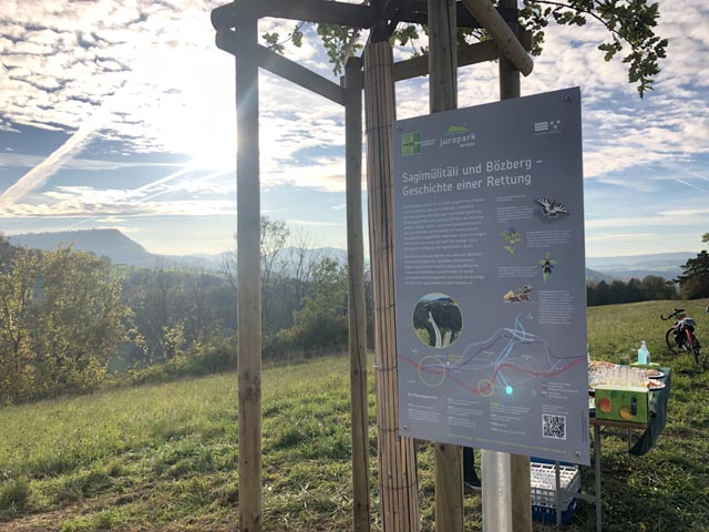 Die Gedenktafel. Foto: Anina Riniker