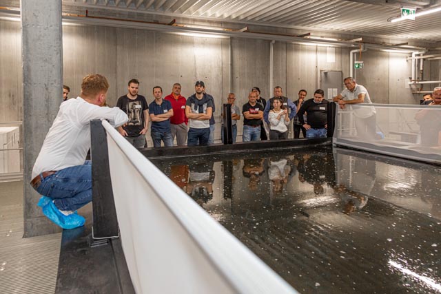 Mitglieder des Schweizer Kochverbands besichtigten die Firma SwissShrimp AG in Rheinfelden. Foto: zVg