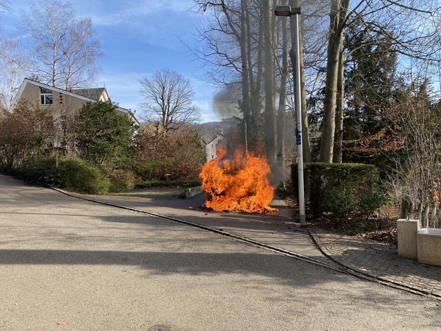Der Personenwagen wurde bei dem Brand völlig zerstört. Foto: zVg