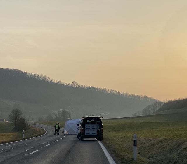 Bei dem schweren Unfall in Hornussen kam ein 22-jähriger Mann ums Leben. Foto: Polizei
