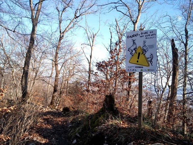 Positiv formulierte Kniggepunkte auf den Sensibilisierungstafeln. Foto: zVg