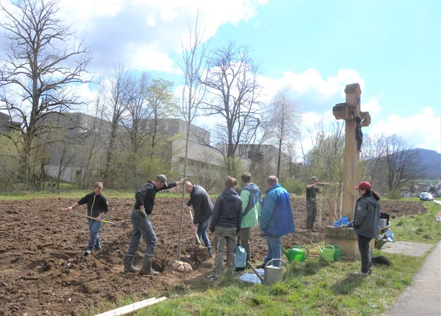 Baumpflanzung im Brüel. Foto: zVg