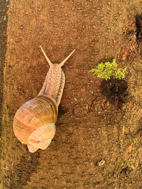 Foto: Margrit Freudemann