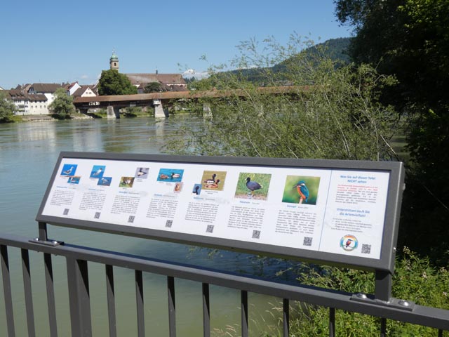 Ein Aussichtssteg mit Fernrohr und Informationstafeln des Naturschutzvereins zur heimischen Vogelwelt lädt spannenden und schönen Naturbeobachtungen ein. Foto: Jörg Wägli