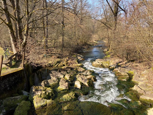 Der Magdenerbach soll linksufrig im Naturschutzgebiet Ängi ein neues Bachbett erhalten. Foto: zVg