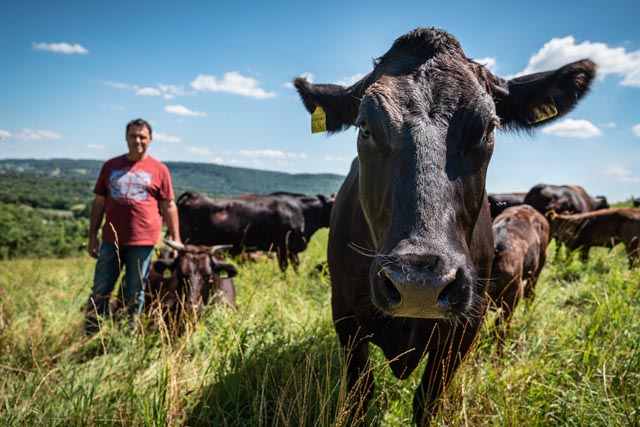 Den Jurapark Aargau von seiner kulinarischen Seite kennen lernen auf den Genuss-Reisen. Foto: © Jurapark Aargau