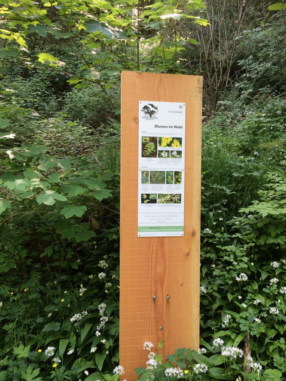 Ein Standort der «Spur zur Natur». Foto: Amandus Brogle