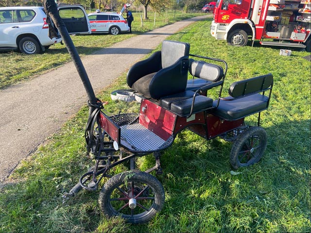Ein scheuendes Pony-Gespann geriet auf einem Waldweg in Anwil BL ausser Kontrolle. Foto: Polizei BL