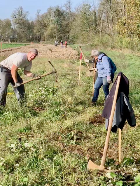 Fleissig waren sie, die etwa 20 Helfer, die sich am 9. Rheinfelder Naturschutztag engagierten. Foto: zVg