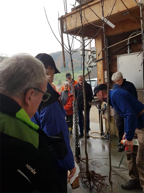 Viel lernen konnten die Teilnehmer des Baumschnittkurses. Foto: Benno Zimmermann