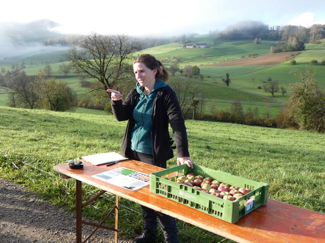 Anna Dalbosco vom Vrein Fructus. Foto: Jörg Wägli