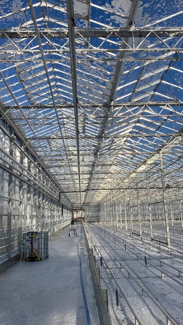 Befallene Gewächshäuser müssen mit Desinfektions-Schaum aufwändig gereinigt werden. Foto: zVg/Arenenberg