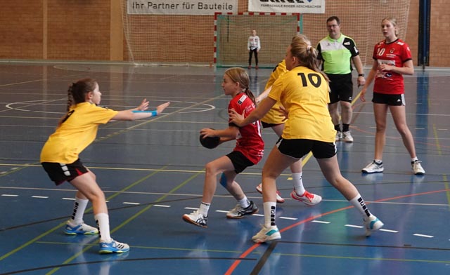 Spiel gegen die SG Stans/Altdorf zu Hause in Frick. Foto: zVg