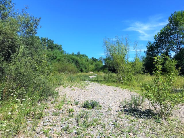 «Die Tiere des Jahres 2023 benötigen mehr Lebensraum im Kanton Aargau», sagt Matthias Betsche, Geschäftsführer von Pro Natura Aargau. Foto: Pro Natura