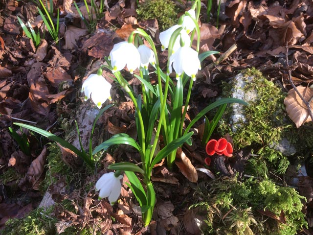 Foto: Margrit Freudemann