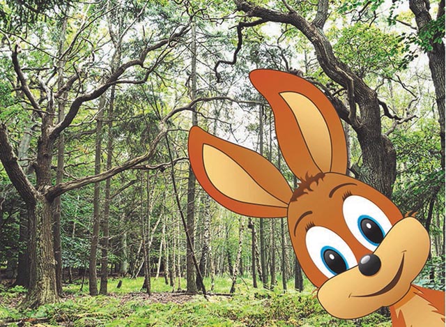 Digitaler Osterspaziergang auf dem Fitness-Trail in Frick. Foto: zVg