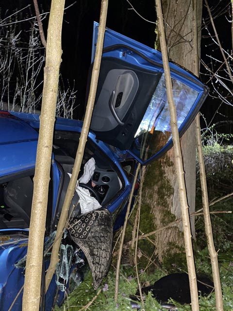 Das Auto überschlug sich und kam in der Böschung zum Stillstand. Foto: Polizei BL 