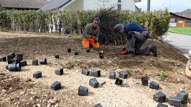 Aus dem unbedeutenden Fleck Land wurde ein naturnaher Garten. Foto: zVg