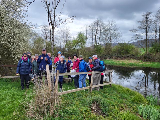 Die Pro-Senectute-Wandergruppe unterwegs. Foto: F. Blaser