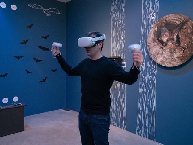 Museumsbesucher:innen können jeweils sonntags von 10 bis 14 Uhr mit Virtual-Reality-Brillen wie Fledermäuse sehen, fliegen und jagen. Foto: Naturama Aargau