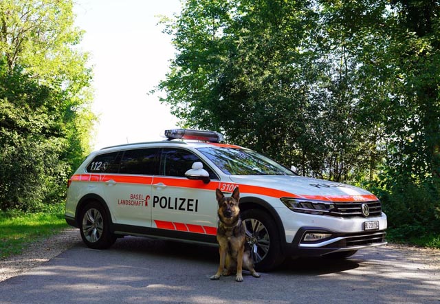 „Forrest“ von der Burg Schwarzsee, ein fünf Jahre alter Rüde, spürte einen der Einbrecher auf. Foto: Polizei BL 