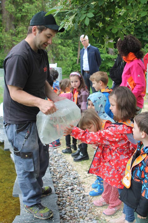 Nochmals anschauen, bevor die Tiere in den Weiher entlassen werden. Foto: Sonja Fasler