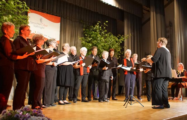 Der Gemischte Chor Staffeleggtal sang Bestseller. Foto: zVg