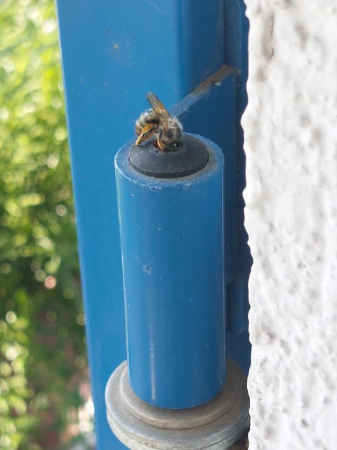 Foto: Olivia Di Marco