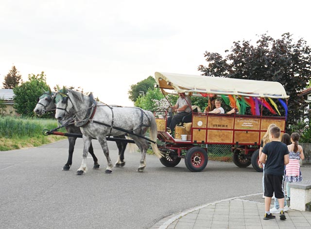 Die Märli-Pferdekutsche fuhr die jüngeren Kinder durch Möhlin. Foto: Birke Luu