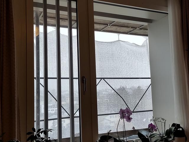 Blick aus einem Zimmerfenster. Foto: zVg