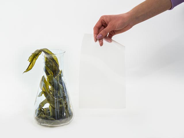 Das neue Verpackungsmaterial basiert auf Algen. Foto: zVg