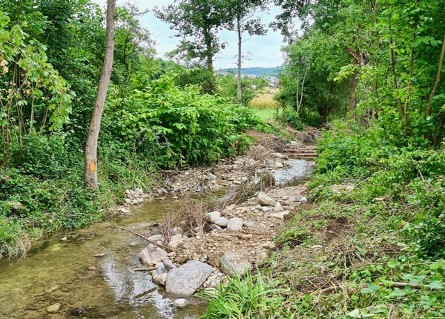 Aus einem brav fliessenden Gewässer wird wieder ein lebendiges Bächlein. Foto: Stephen Skillmann, Magden