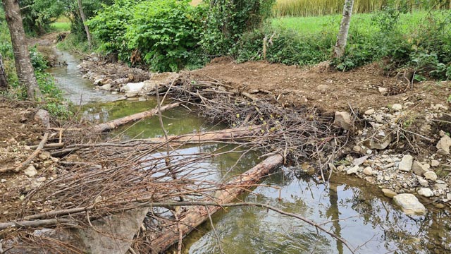 Aus einem brav fliessenden Gewässer wird wieder ein lebendiges Bächlein. Foto: Stephen Skillmann, Magden