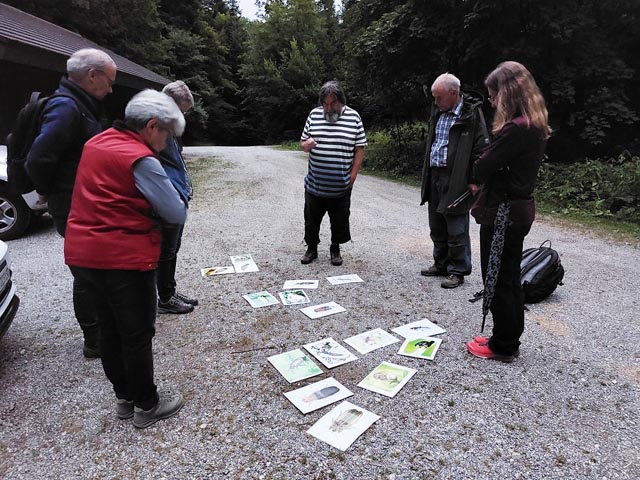 Den Glühwürmchen auf der Spur. Foto: zVg