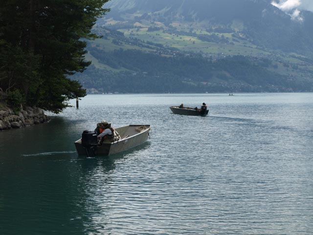 Übersetzboot fahren im Panzergraben in Einigen. Foto: zVg