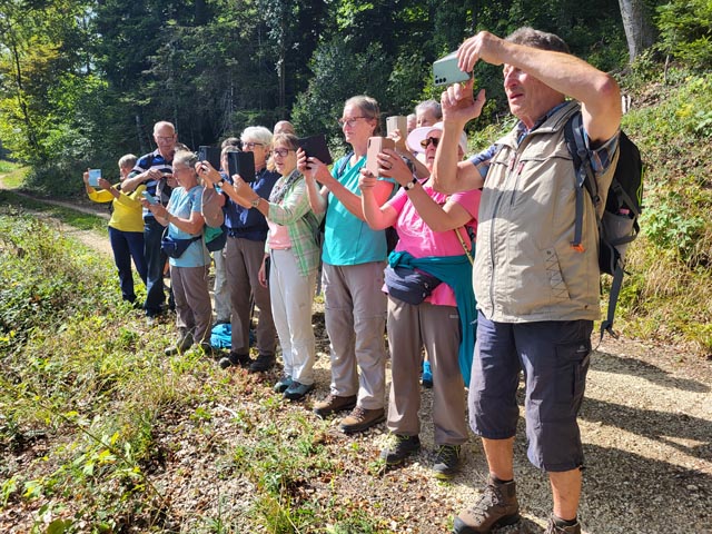 Der Weg von Mariastein nach Kleinlützel bot manchen schönen Ausblick. Foto: Fritz Blaser