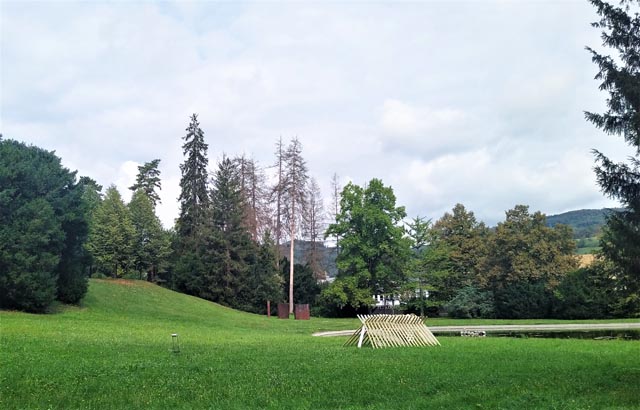 Im Schlosspark Ebenrain in Sissach werden 14 abgestorbene Fichten gefällt. Foto: zVg