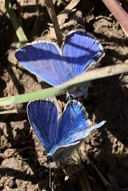 Foto: Margrit Freudemann