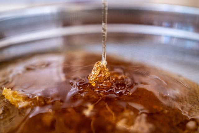 Dieses Jahr konnte in Liechtenstein und in der Schweiz im Durchschnitt weniger Honig als im letzten Jahr geerntet werden. Foto: zVg