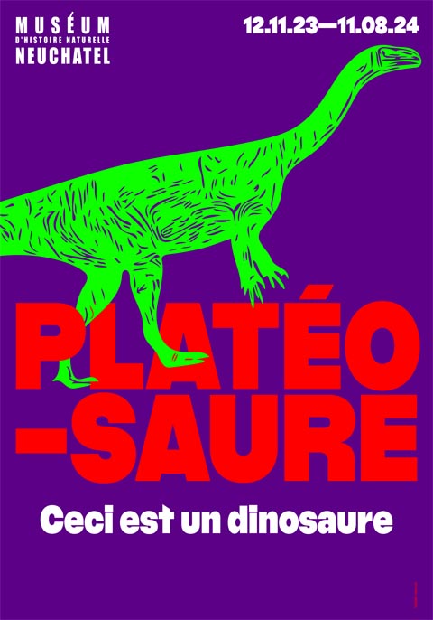  Plakat der Sonderausstellung in Neuenburg.