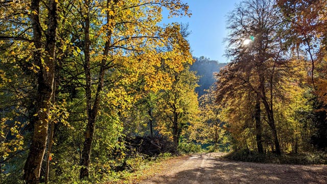 Foto: Bianca Kühweidner