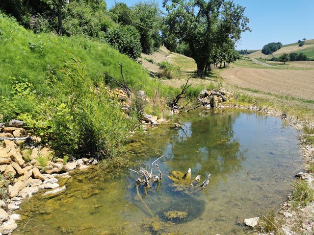 Weiher mit verschiedenen Kleinstrukturen sowie Steinkauzröhren an einem alten Hochstammbaum.Fotos: © Jurapark Aargau