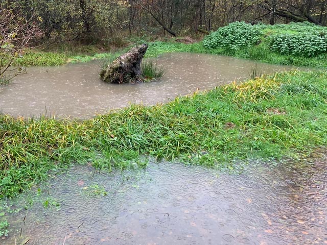 Foto: Margrit Freudemann